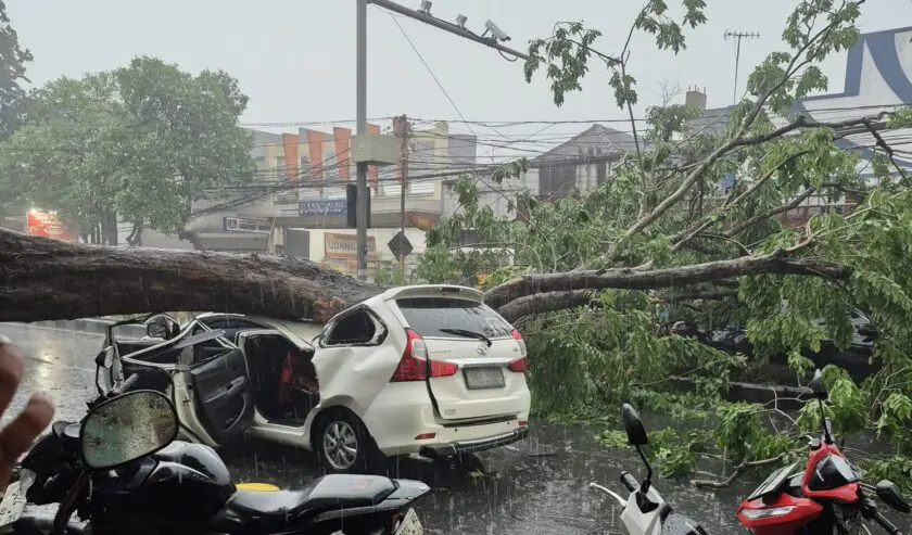 Cuaca Ekstrem, Pohon Tumbang Timpa Mobil dan Lumpuhkan Jalan Mojopahit Sidoarjo