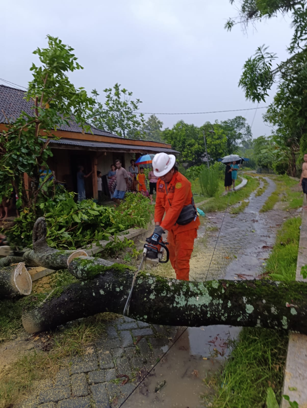 Blora Diterjang Angin Kencang, Puluhan Rumah Rusak di Kedungtuban dan Kradenan
