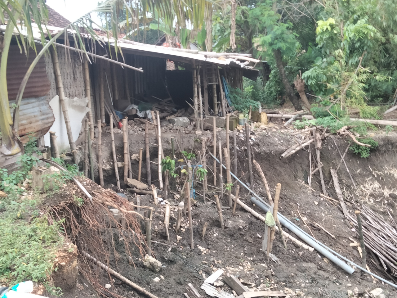 Rumah Warga Nglanjuk Cepu Terancam Longsor Akibat Erosi Bengawan Solo