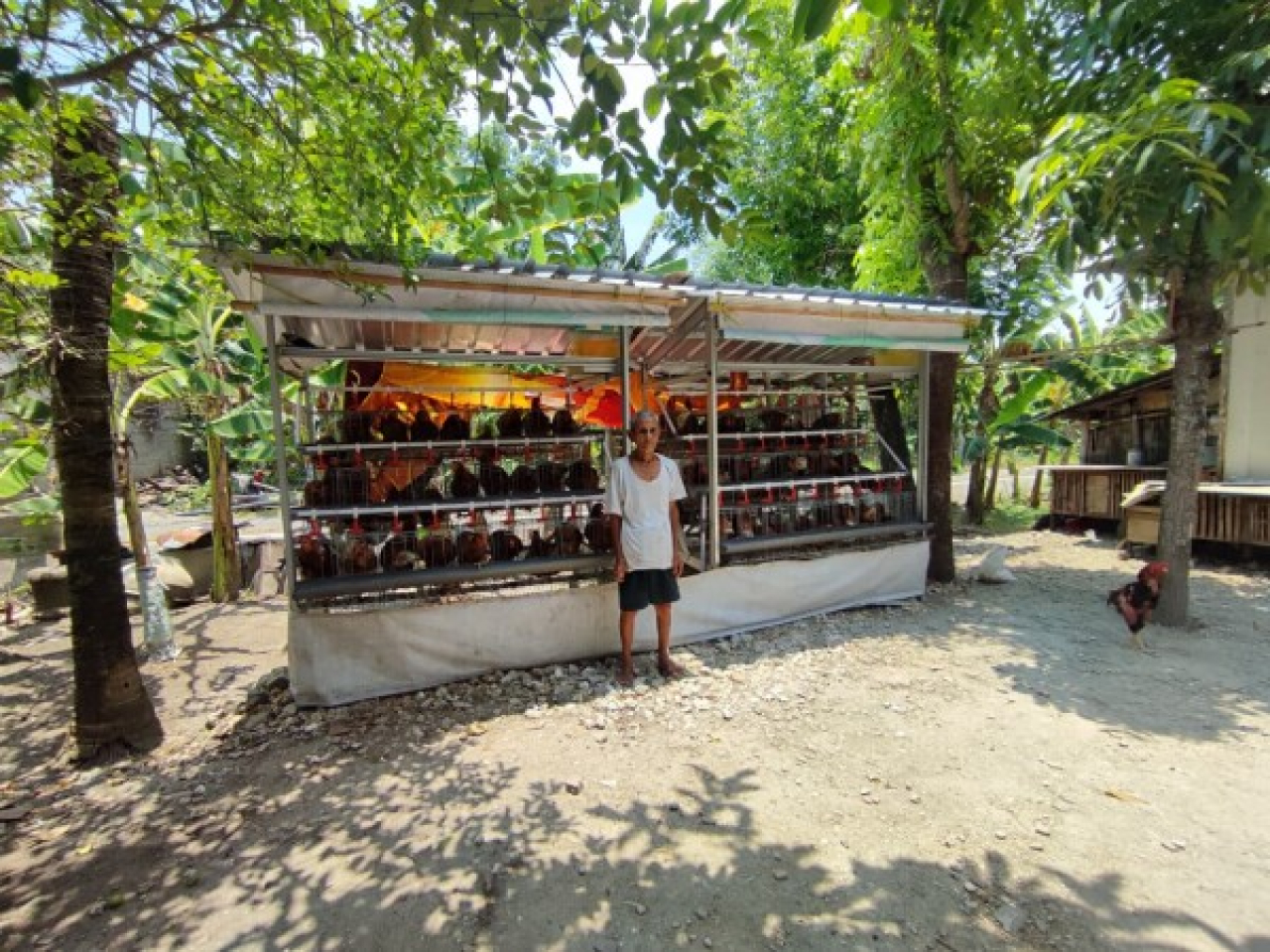 Dari Kandang ke Dapur, GAYATRI Dorong Kemandirian Pangan Warga Bojonegoro