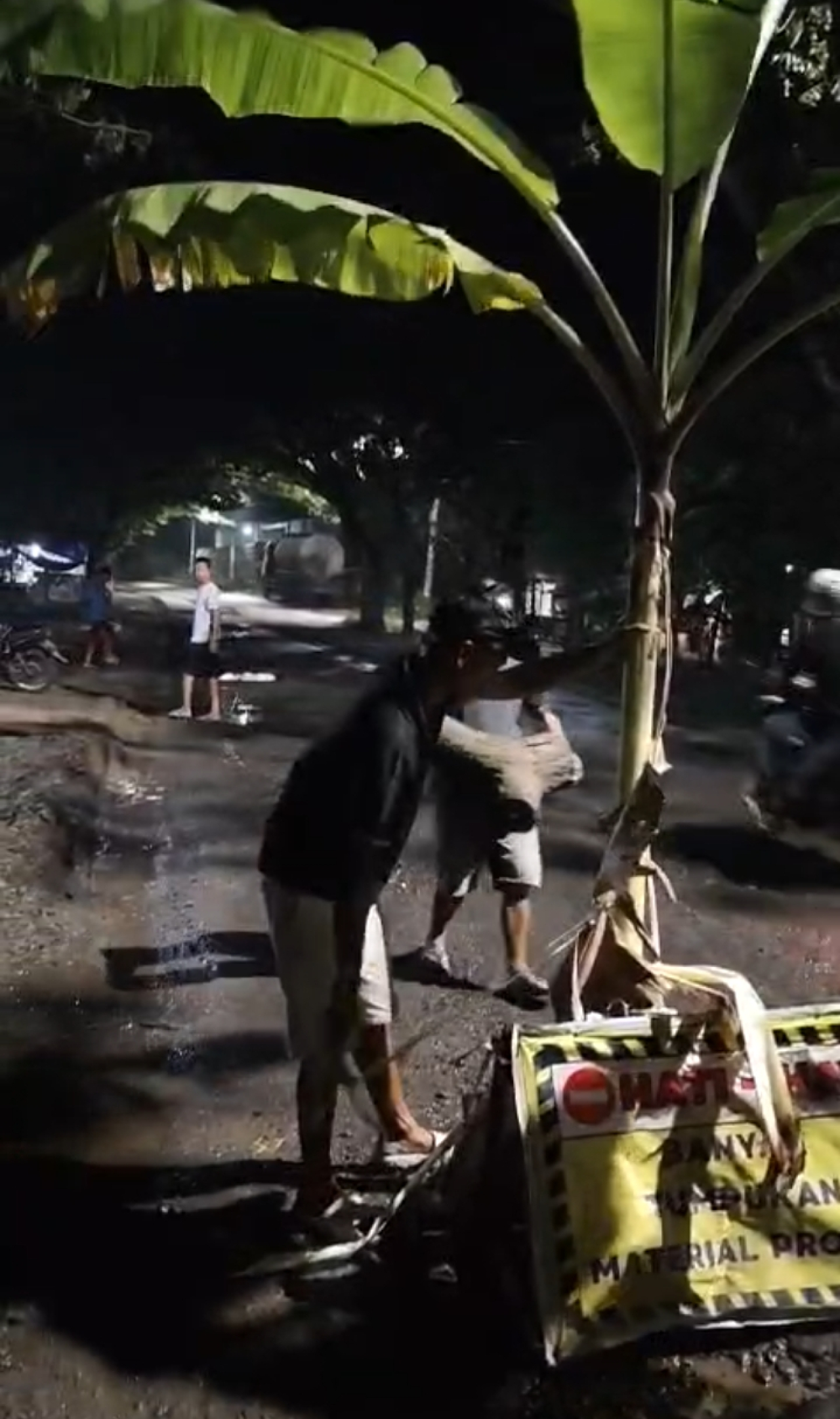 Duh, Warga Megalrejo Cepu Tanam Pohon Pisang di Tengah Jalan Rusak