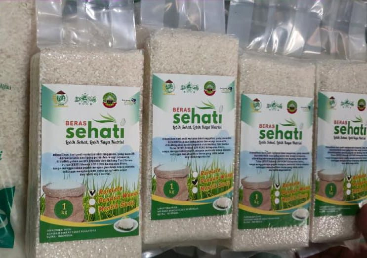 Padi Organik Jadi Harapan Baru Petani di Blora