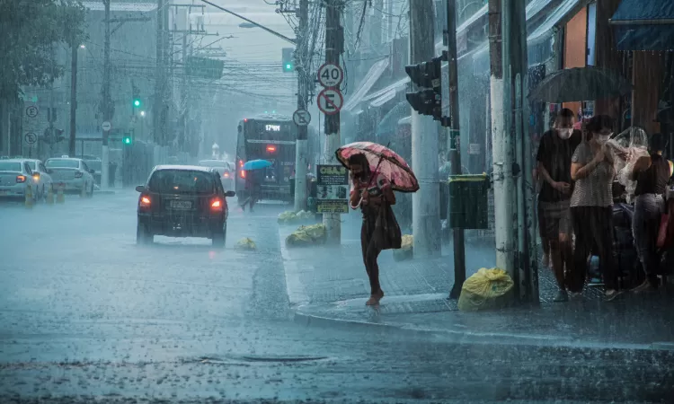 Hujan Deras dan Angin Kencang Lumpuhkan 17 Kecamatan di Surabaya, Satu Korban Jiwa