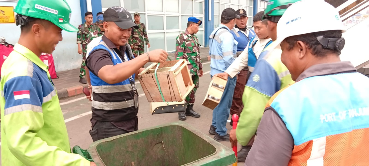 Puluhan Burung Langka dari Papua Diamankan Petugas dari Pemudik di Pelabuhan Tanjung Perak Surabaya