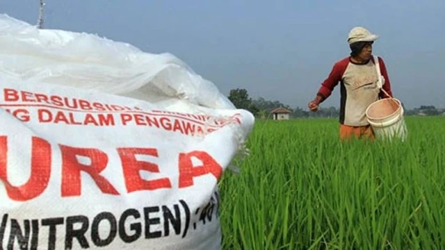 Isu Truk Pupuk Hilang di Bleboh Dipastikan Keliru, KP3 Blora Tegaskan Tak Ada Gangguan Distribusi