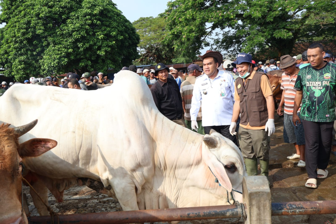 Jelang Idul Adha, Transaksi Sapi di Pasar Blora Tembus Belasan Miliar