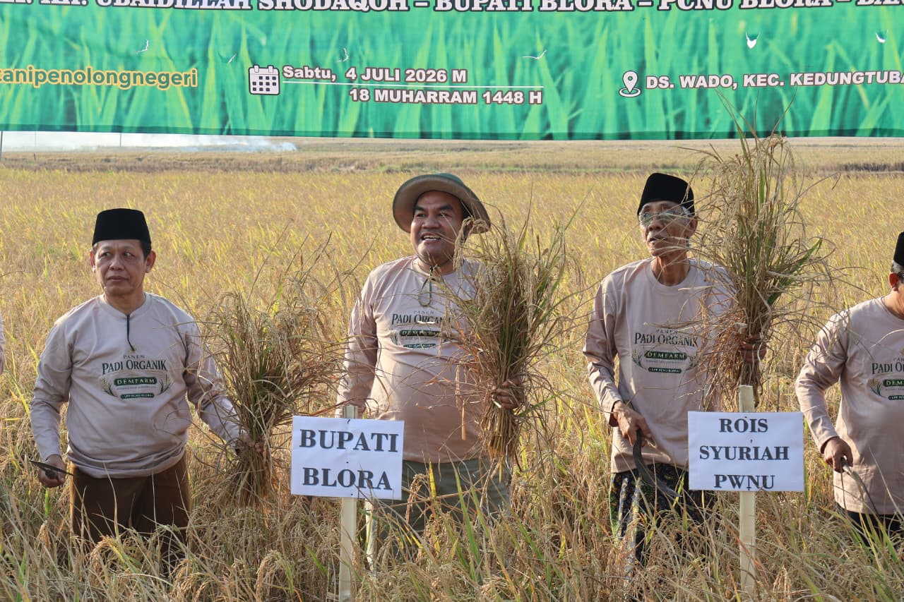 PCNU Blora Bangun Ekosistem Pertanian Organik, 139 Petani Binaan Hasilkan 120 Ton Gabah